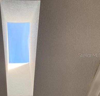 Photo #38
