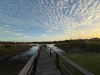 Photo #14