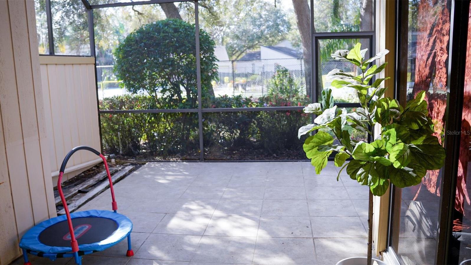 Photo #34