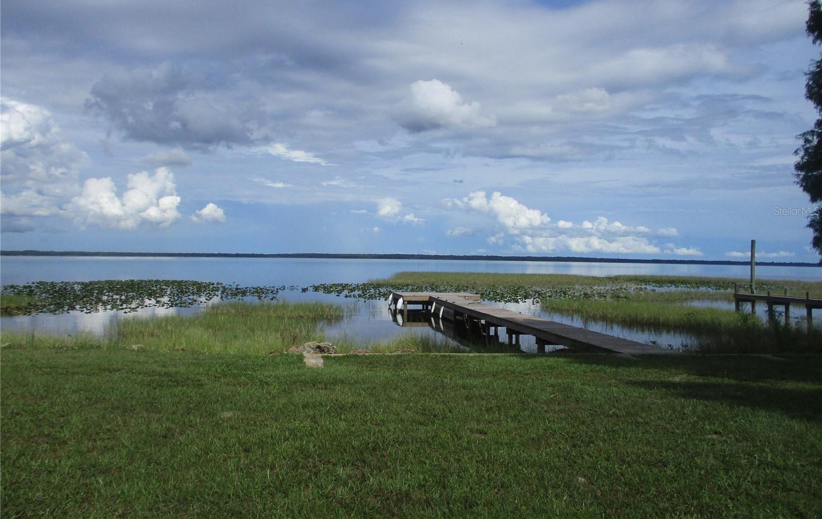 Photo #15