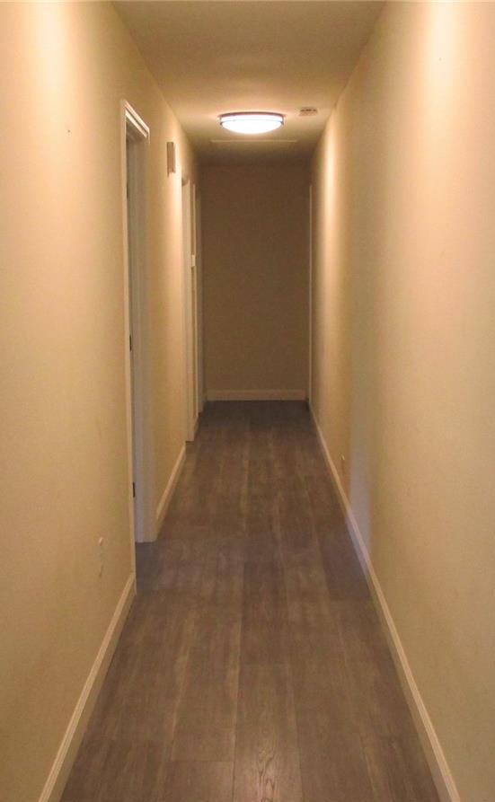 Photo #19