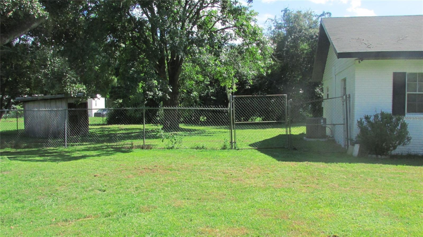 Photo #45