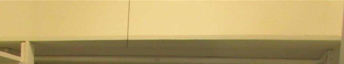 Photo #11