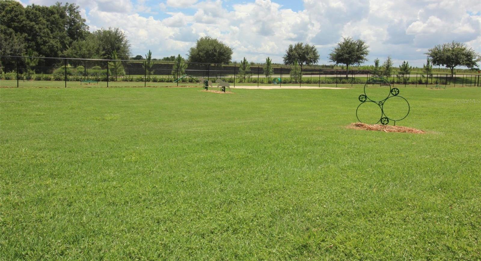 Photo #31