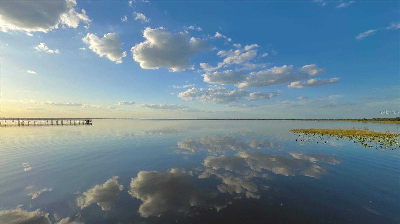 Photo #41
