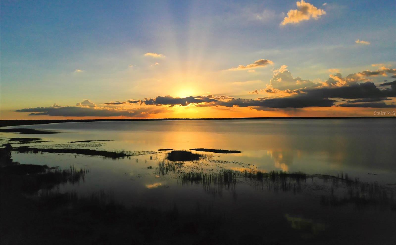 Photo #43