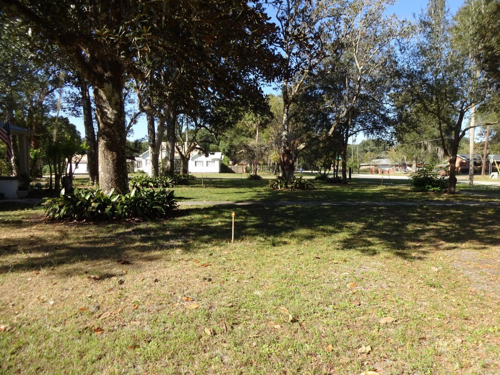 Photo #6