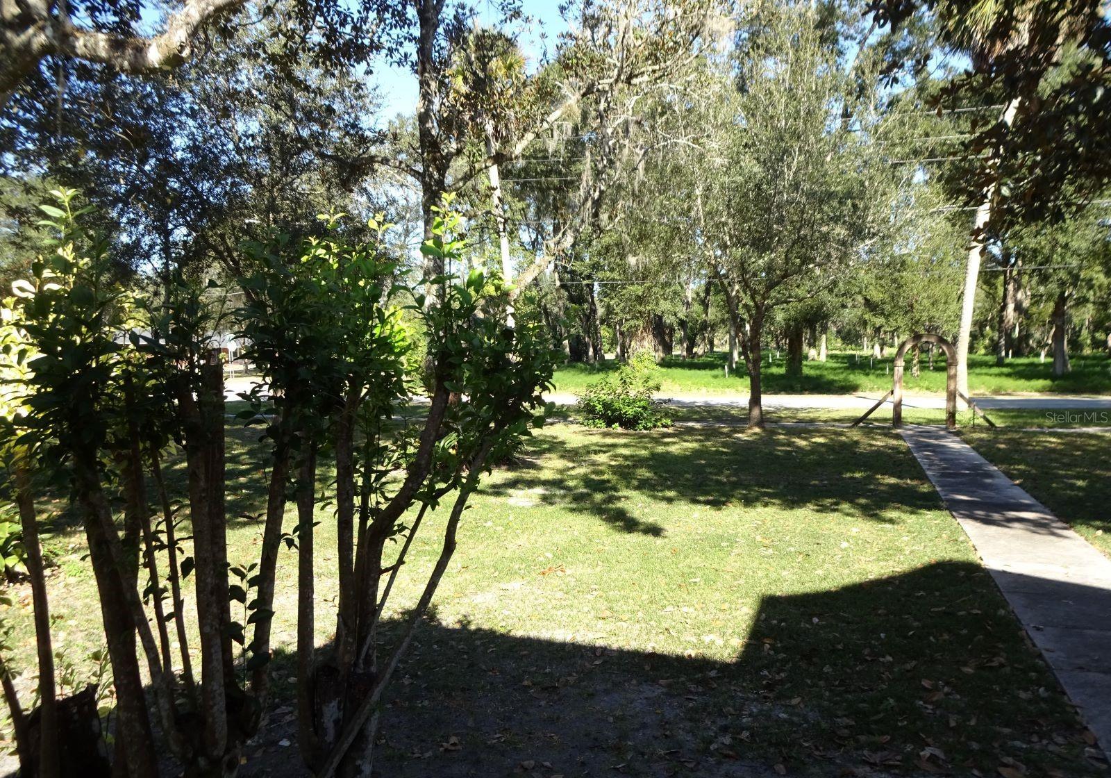 Photo #46