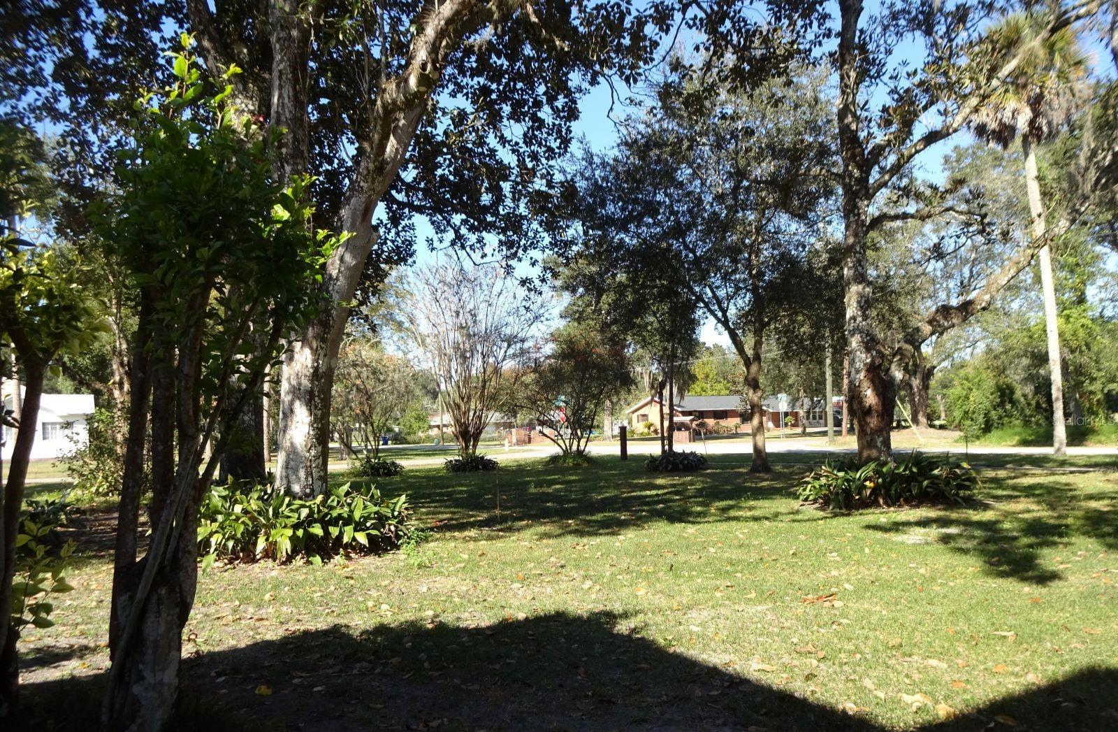 Photo #45