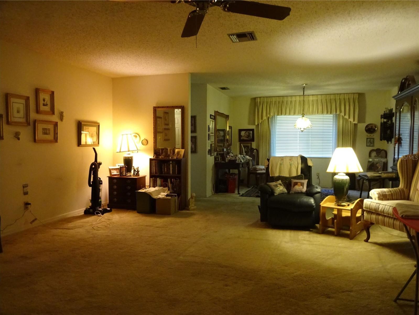 Photo #6