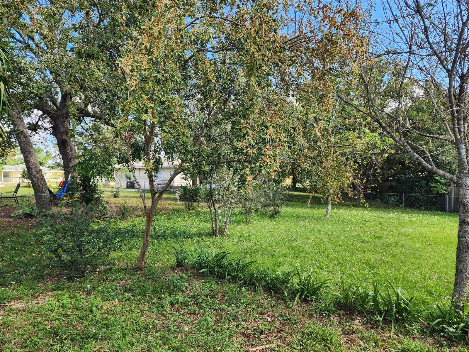 Photo #17