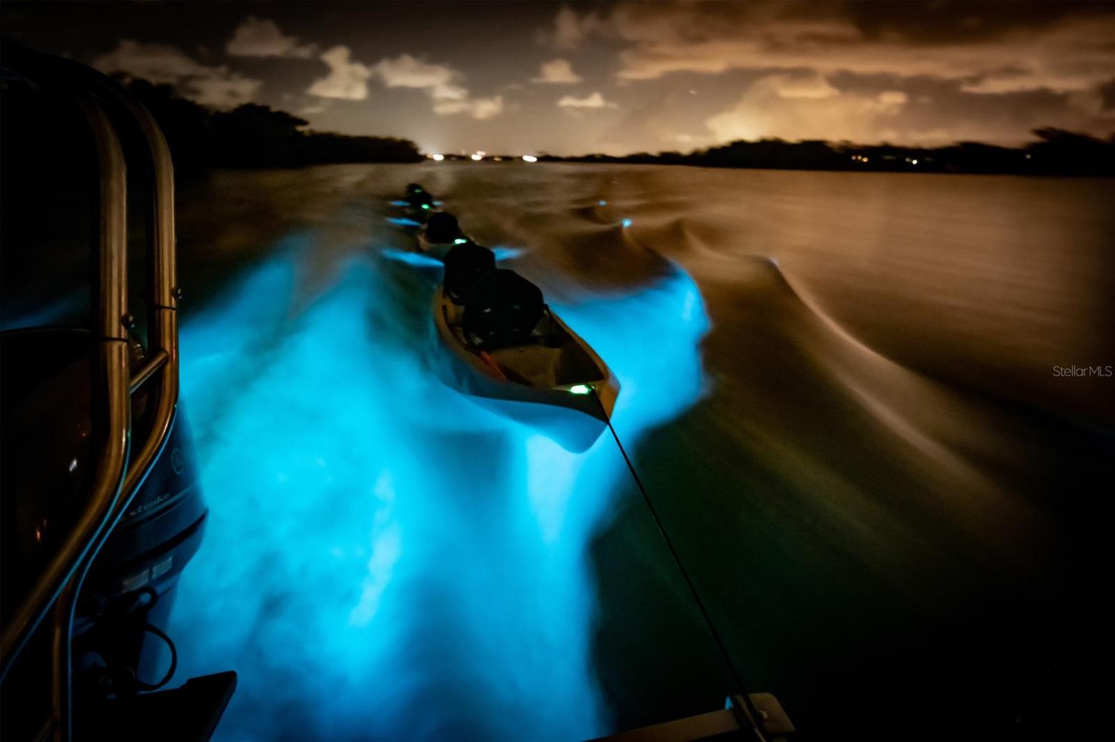 Photo #34