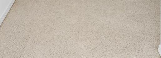 Photo #19