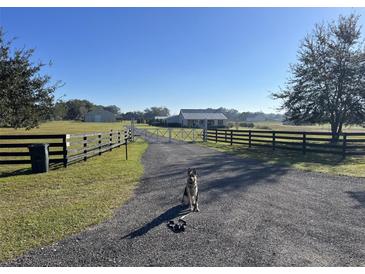 Photo one of 13729 County Road 103 Oxford FL 34484 | MLS A4624095