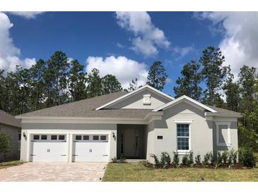 Photo one of 19083 Blueleaf St Orlando FL 32827 | MLS G5073794