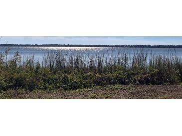 Photo one of 905 Lake Dora Dr Tavares FL 32778 | MLS G5075600