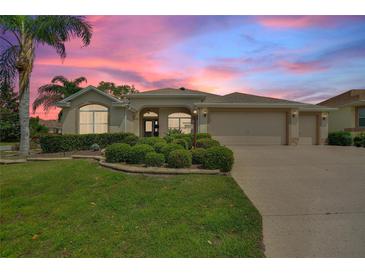 Photo one of 795 Goliath Pl The Villages FL 32162 | MLS G5080047