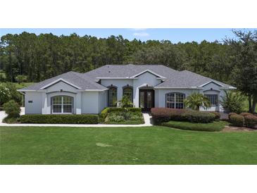 Photo one of 31306 Sunny Meadow Ct Leesburg FL 34748 | MLS G5084971