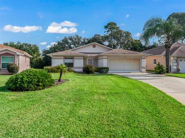 Charming single story home with well maintained lawn at 533 Grand Vista Trl, Leesburg, FL 34748