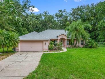 Photo one of 2541 Lake Griffin Rd Lady Lake FL 32159 | MLS G5085996