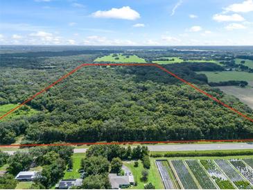 Large wooded lot with road frontage, ideal for development at 3448 Cr 567, Center Hill, FL 33514