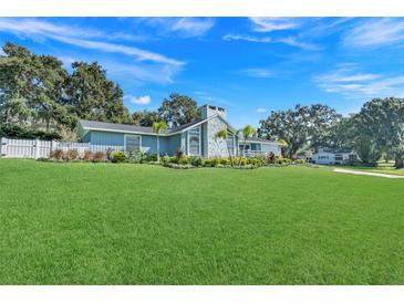 Ranch-style home with light blue siding, landscaping, and a large yard at 11329 Lake Minneola Shrs, Minneola, FL 34715