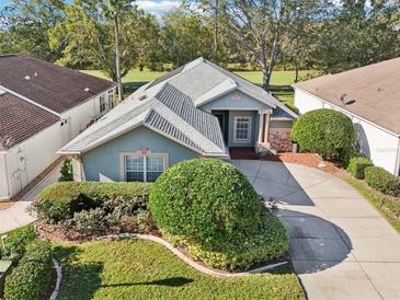 Attractive single-story home with a landscaped yard and two-car garage at 8001 Arcadian Ct, Mount Dora, FL 32757