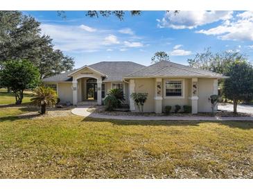 Single-story house with a paved walkway leading to the front entrance at 39320 Harbor Hills Blvd, Lady Lake, FL 32159