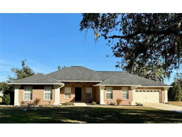 One-story house with a tan exterior, gray roof, and a two-car garage at 4107 Timberlake E Rd, Lakeland, FL 33810