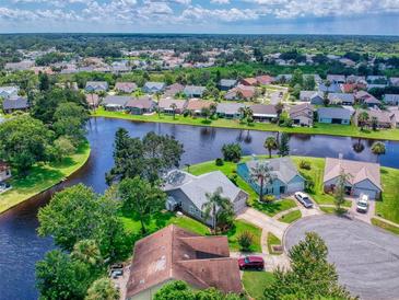 Aerial view of waterfront property with lush landscaping at 804 Soft Pine Ct, New Smyrna Beach, FL 32168