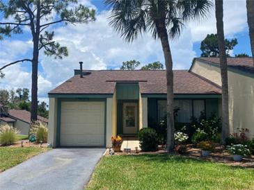 Photo one of 191 Club House Blvd New Smyrna Beach FL 32168 | MLS NS1081507