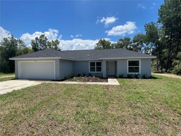 Photo one of 75 Guava Place Dr Ocklawaha FL 32179 | MLS O6120587