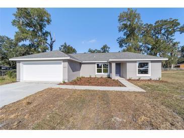 Photo one of 79 Guava Place Dr Ocklawaha FL 32179 | MLS O6120619