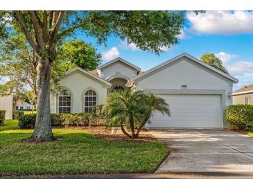 Photo one of 3433 Capland Ave Clermont FL 34711 | MLS O6190335
