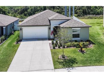Photo one of 2735 Red Egret Dr Bartow FL 33830 | MLS O6198907