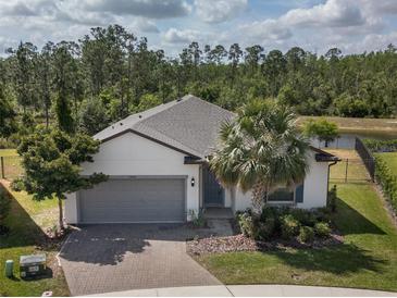 Photo one of 17464 Butterfly Pea Ct Clermont FL 34714 | MLS O6200912