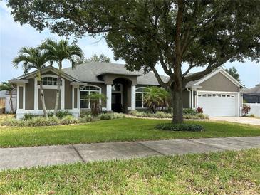 Photo one of 324 Way Point Dr Groveland FL 34736 | MLS O6206498