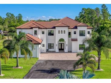 Two-story home with tile roof and palm trees at 2490 Zuni Rd, St Cloud, FL 34771
