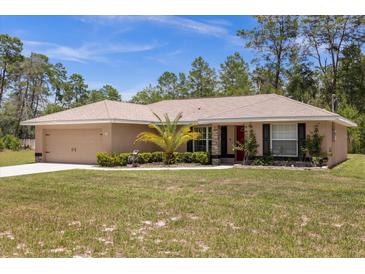 One-story home with a two-car garage and landscaped yard at 33 Fisher Run Ter, Ocklawaha, FL 32179