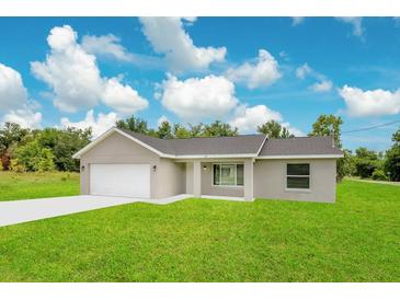 Newly built single-story home with a white garage door at 297 Malauka Run, Ocklawaha, FL 32179