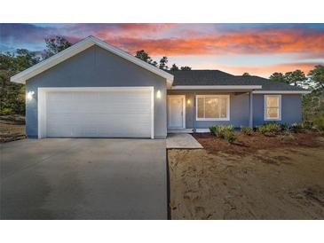 Photo one of 7743 Sw 146Th Lane Rd Ocala FL 34473 | MLS O6230250