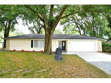 Ranch house with mature landscaping and large tree at 213 E Hillcrest St, Altamonte Springs, FL 32701