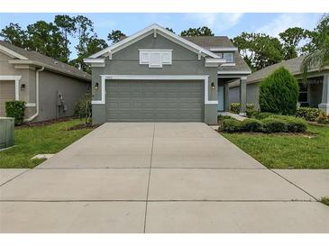 Front view of a two-car garage house with landscaping at 3402 Sagebrush St, Harmony, FL 34773