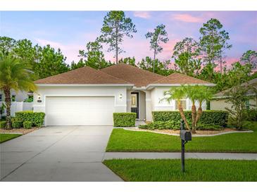 Photo one of 137 Pergola Pl Ormond Beach FL 32174 | MLS O6238317