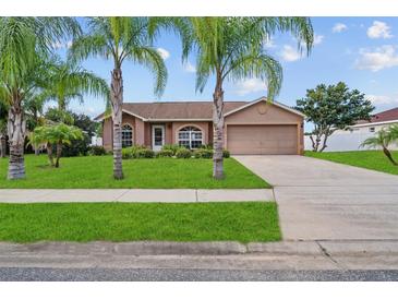 Photo one of 5402 Great Egret Dr Leesburg FL 34748 | MLS O6239840