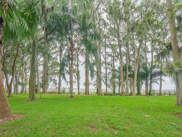 Lush green lawn with mature trees and a peaceful lake view at 16 Cypress Dr, Eustis, FL 32726