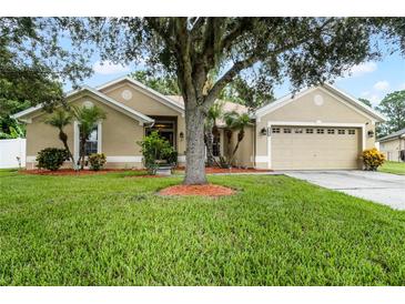 Photo one of 1002 Twisted Branch Ln Saint Cloud FL 34771 | MLS O6247535