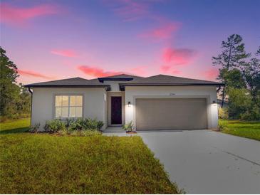 Photo one of 2744 Sw 161St Loop Ocala FL 34473 | MLS O6248747