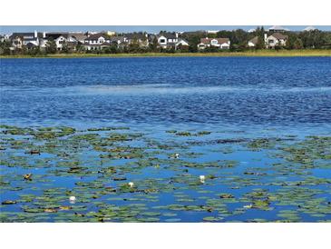 Peaceful lake view with lily pads and houses in the background at 4715 Beach Blvd, Orlando, FL 32803