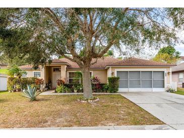 Single-story house with mature landscaping and a two-car garage at 721 Willow Run St, Minneola, FL 34715